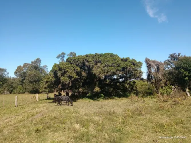 TERRA AREA no bairro Lami em PORTO ALEGRE