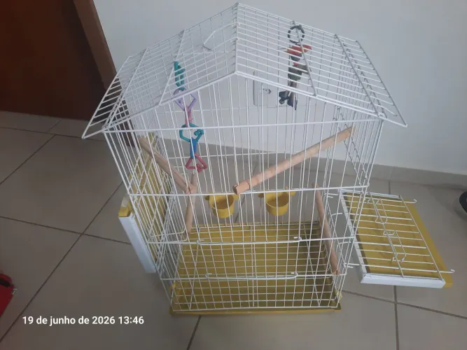 Gaiola para casal de calopsita + brinquedos+ gaiola transportadora