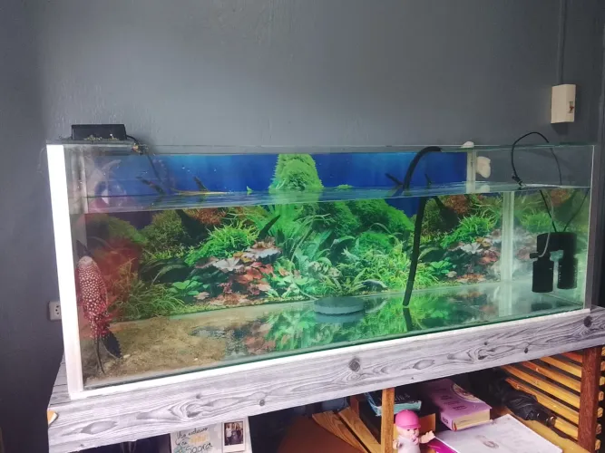 Vendo aquário com mesa ,Bomba (1.31 de Comprimento,0.50 de Largura,0.45 de Altura ) 650