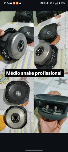 Snake 8 polegadas 200 RMS profissional 