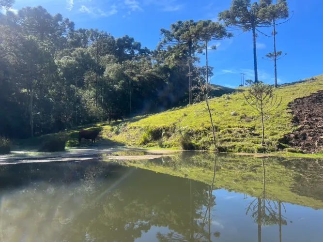 Terreno frente ao asfalto - 7 km centro de Urubici SC