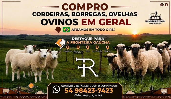 COMPRA DE OVINOS