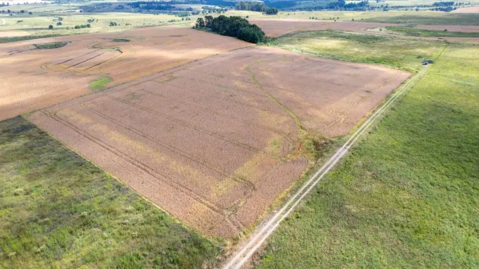 Área com 20 mil m² em São Luiz do Purunã