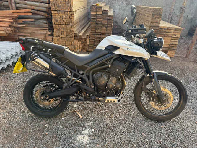 Tiger 2019 MÉDIA MONTA
