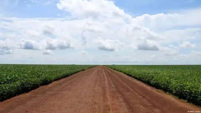 Fazenda produtora de soja com excelente localização