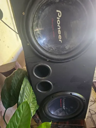 Pioner 308