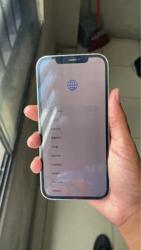 iPhone 12 Pro Max