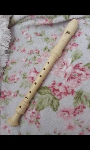 Vendo flauta usada
