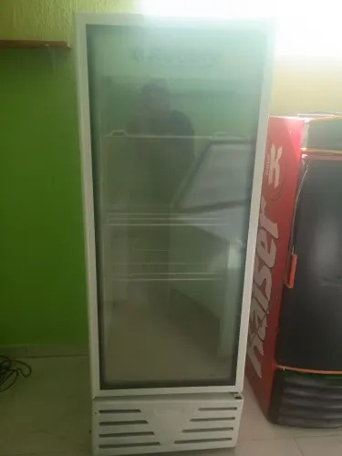 Freezer vertical