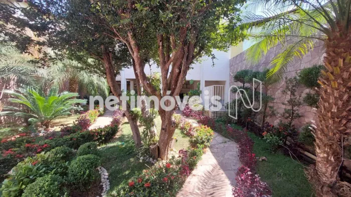 Venda Casa Alto dos Pinheiros Belo Horizonte