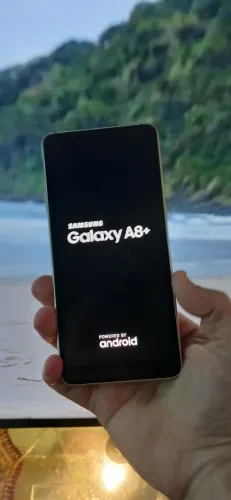 Samsung A8+
