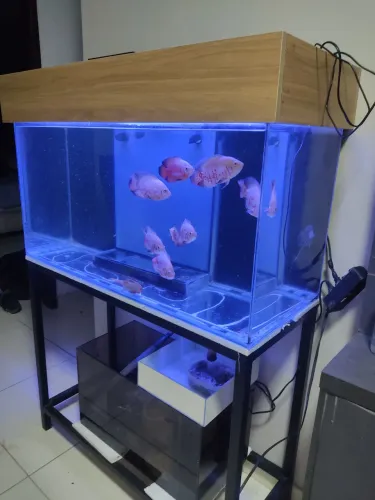 Aquário 200L