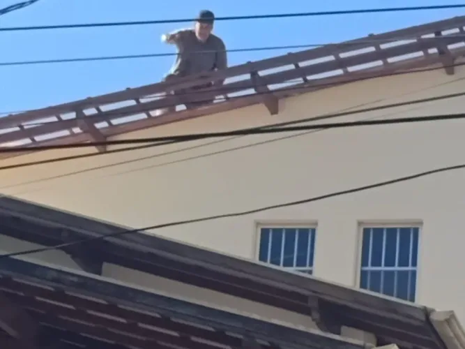 Marceneiro para toda sua obra