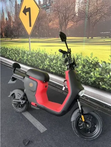 Moto elétrica yesus 1000 watts