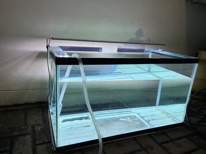 Aquario 150 Litros