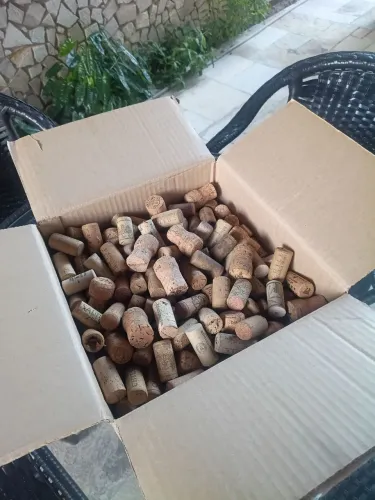 Vendo cortiças de vinho ?