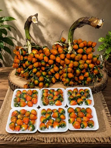 Fruta Pupunha