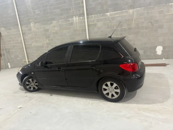Peugeot 307 Feline/griff/premi. 2.0 Flex 5P Aut. 2007