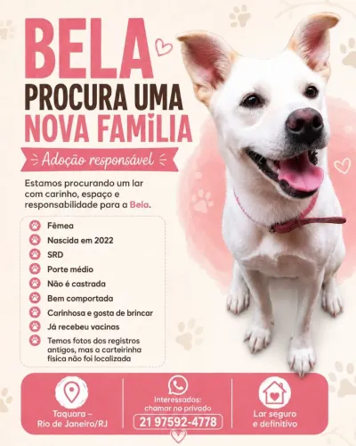 Doação Responsável