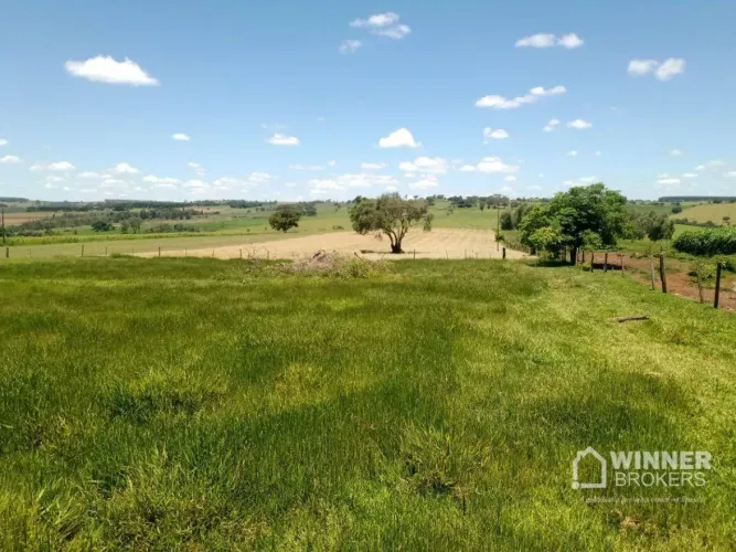 Sítio com 1 dormitório à venda, 84700 m² por R$ 800.000,00 - Colégio Betânia - Altônia/PR