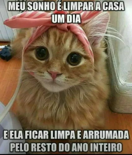 Diárista/Faxineira Caprichosa 