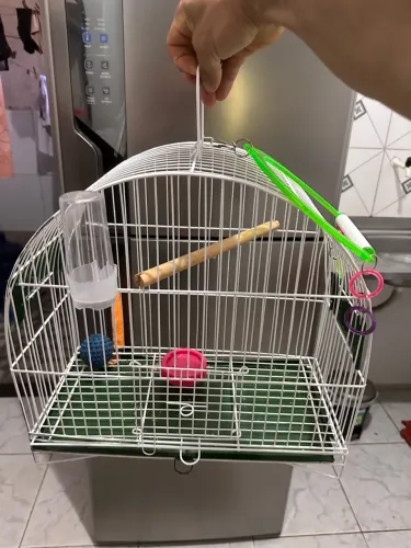 Vendo essa gaiola de pássaro