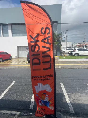 Disk luvas