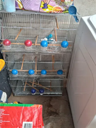 Gaiolas