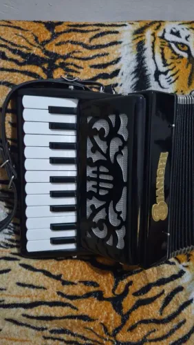 VENDO SANFONA BIANCHI NOVA ZERADA NO TALO