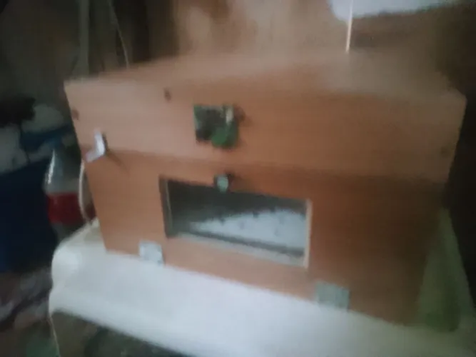 Chocadeira 180$ excelente para começar sua criação de pintinhos