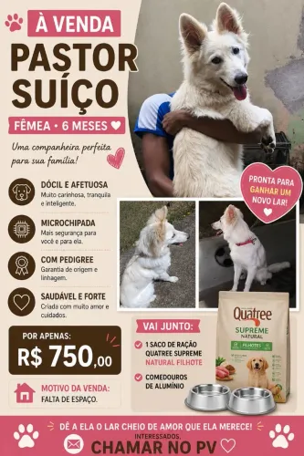 Pastor Suíço