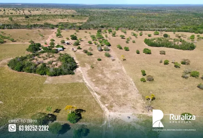 200 HA AGRICULTÁVEIS | CASA, GALPÃO E CURRAL | RELEVO PLANO