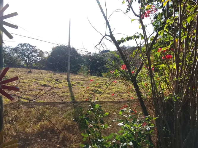Lote Comercial