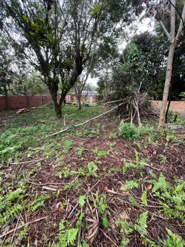 Terreno em mosqueiro 