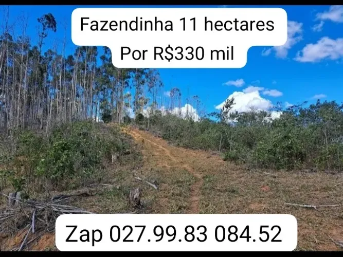 Fazendinha 11 hectares tudo por R$330 mil
