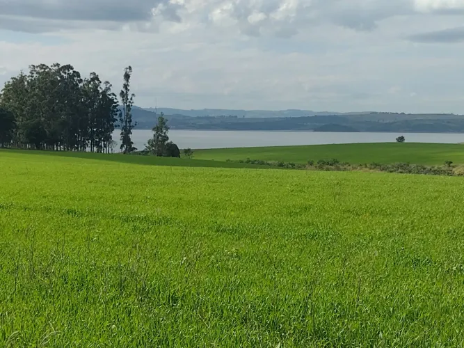 Vende-se 33 alqueires a beira da represa no Município de Carlópolis PR