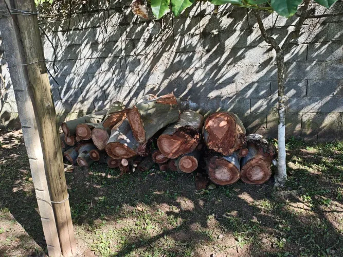 Linha verde para venda