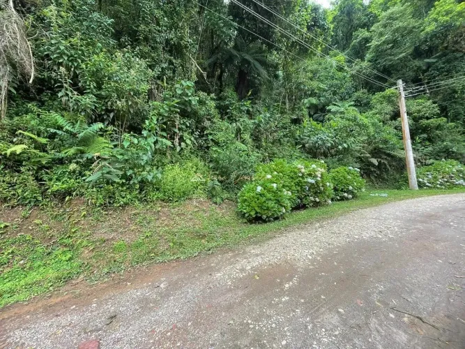 Lote à venda no bairro São Gotardo em Monteiro Lobato - SP