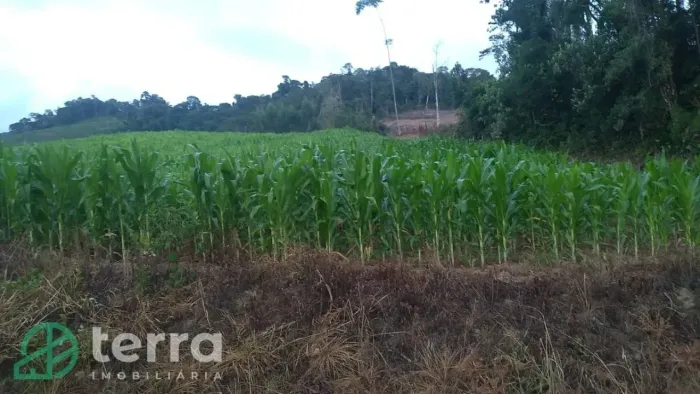 Área para implantação de sitio, com nascente a 30 km da BR470