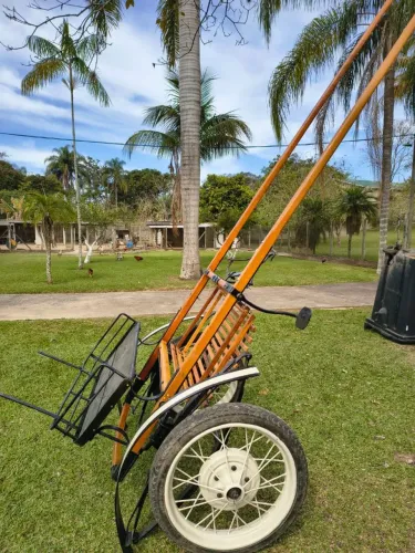 Vendo charete