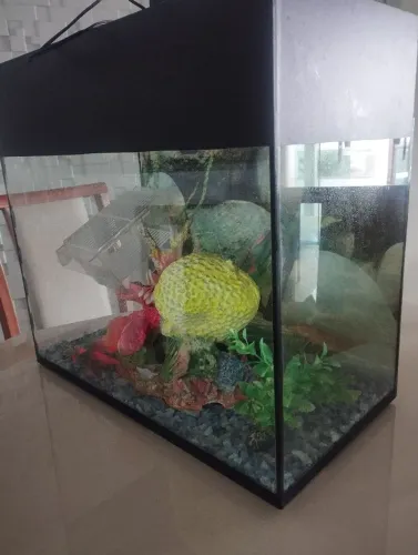 Aquário 40l completo
