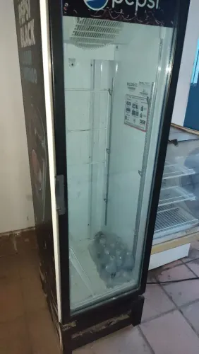Freezer expositor 380 litros slim energia 127