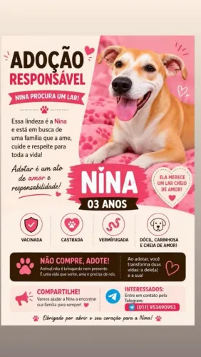ADOÇÃO