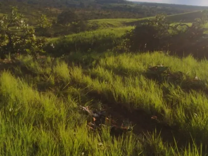 Fazenda de 50 Alqueires com Preço Excelente Promoção