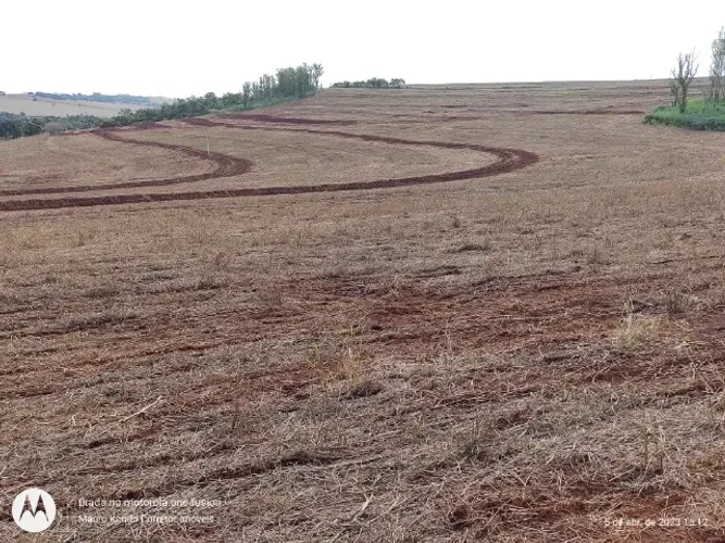 Sítio com 16,41 hectares (6,78 alqueires) em Ibiporã, área de plantio, 100% mecanizado.
