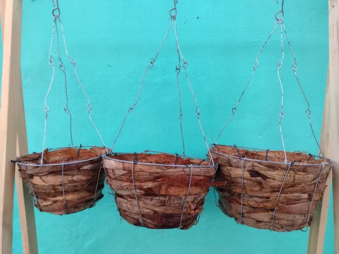 Cestas de Coco para Plantas Suspensas