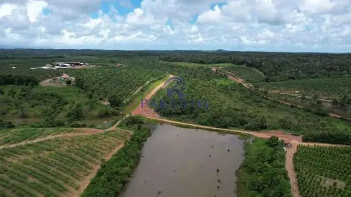 Fazenda, Região Cacaueira Sul da Bahia. -R$ 90 mi, Cod: 68916
