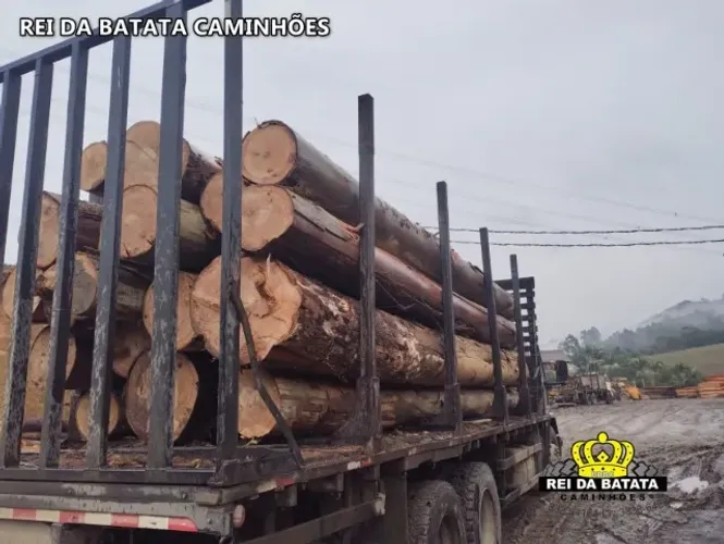 Carroceria Florestal Transtora