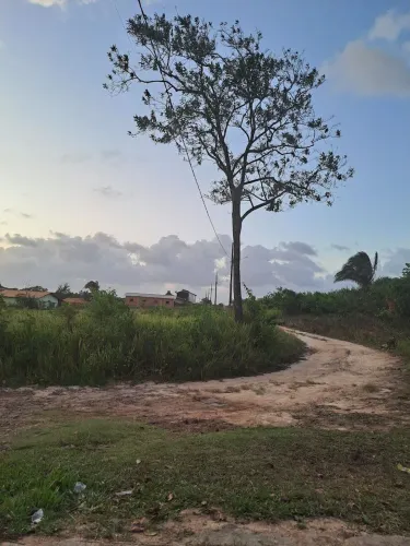 VENDO TERRENO EM SALINAS-PA , CONDOMÍNIO FECHADO