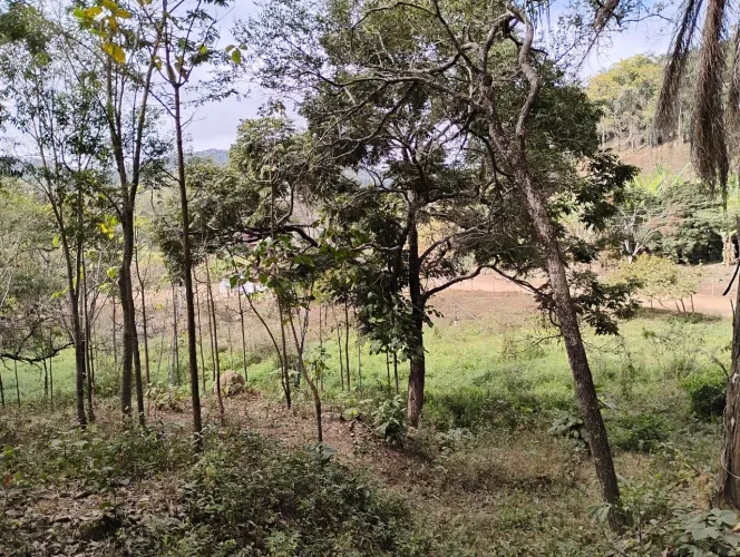 Sítio  todo murado 1 km asfalto.